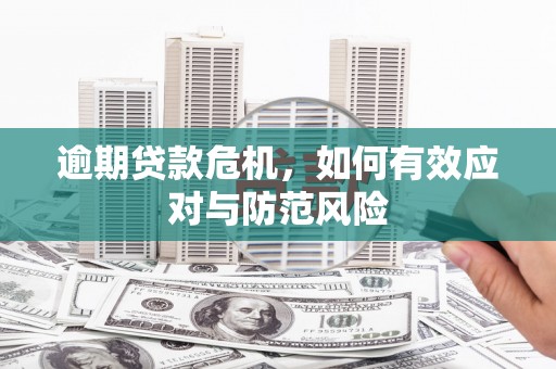 柳东逾期贷款危机，如何有效应对与防范风险