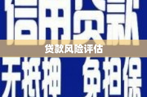柳东贷款风险评估