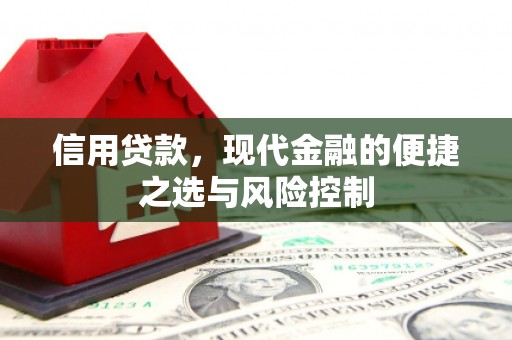 柳东信用贷款，现代金融的便捷之选与风险控制