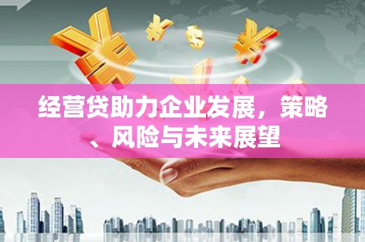 柳东经营贷助力企业发展，策略、风险与未来展望