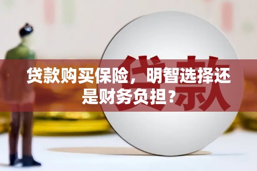 柳东贷款购买保险，明智选择还是财务负担？