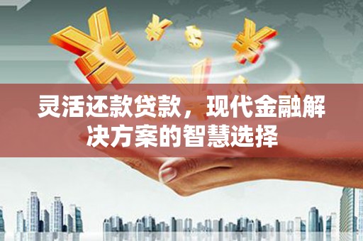 柳东灵活还款贷款，现代金融解决方案的智慧选择
