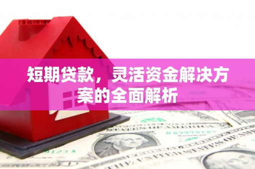 柳东短期贷款，灵活资金解决方案的全面解析