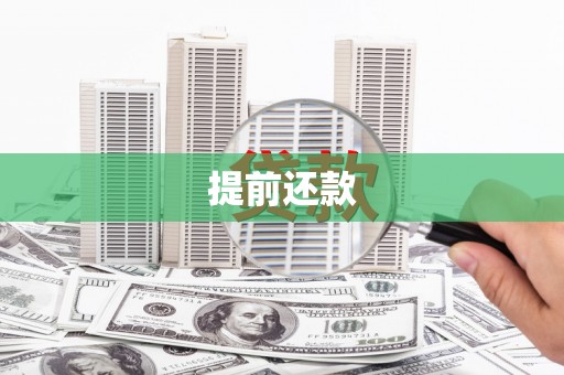 柳东提前还款