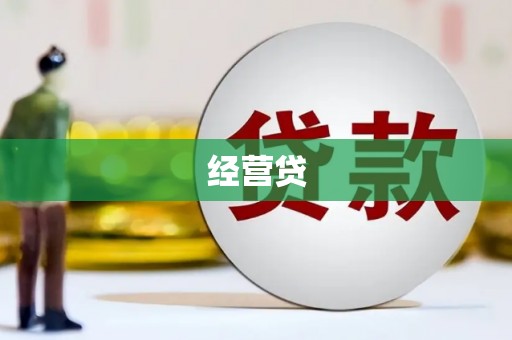 柳东经营贷
