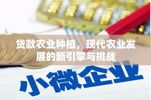 柳东贷款农业种植，现代农业发展的新引擎与挑战