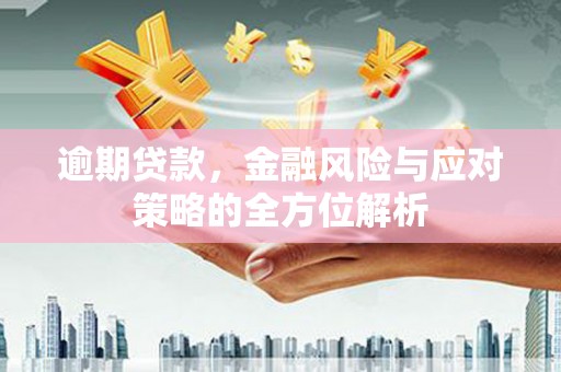 柳东逾期贷款，金融风险与应对策略的全方位解析