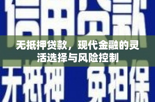 柳东无抵押贷款，现代金融的灵活选择与风险控制