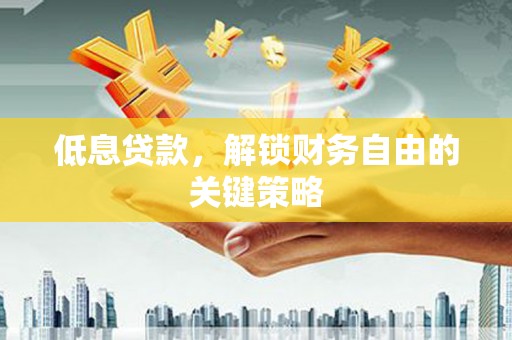 柳东低息贷款，解锁财务自由的关键策略