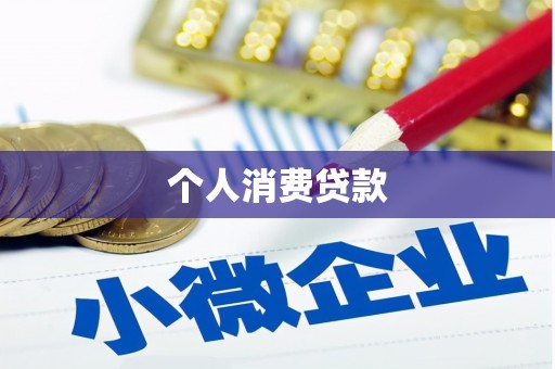 柳东个人消费贷款