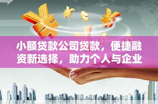 柳东小额贷款公司贷款，便捷融资新选择，助力个人与企业成长