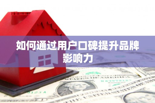 柳东如何通过用户口碑提升品牌影响力