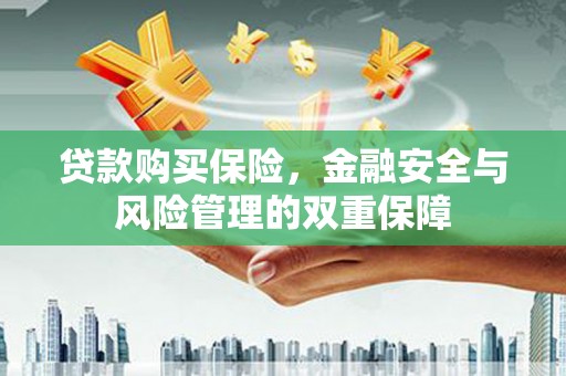 柳东贷款购买保险，金融安全与风险管理的双重保障