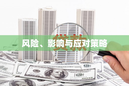 柳东风险、影响与应对策略