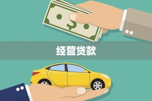 柳东经营贷款