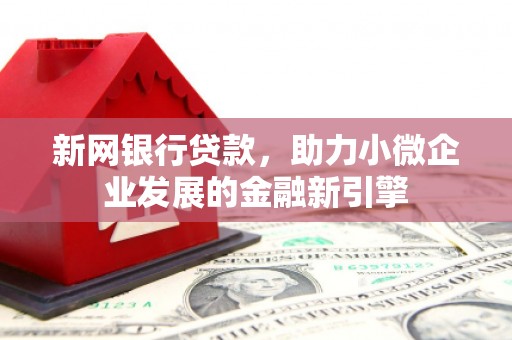 柳东新网银行贷款，助力小微企业发展的金融新引擎