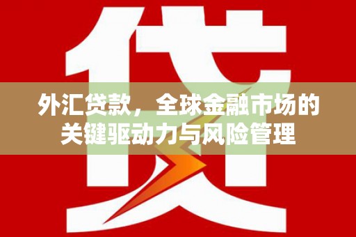 柳东外汇贷款，全球金融市场的关键驱动力与风险管理