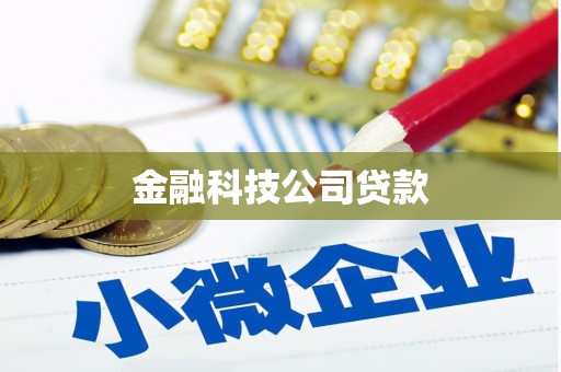 柳东金融科技公司贷款