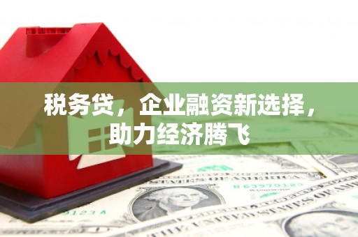 柳东税务贷，企业融资新选择，助力经济腾飞