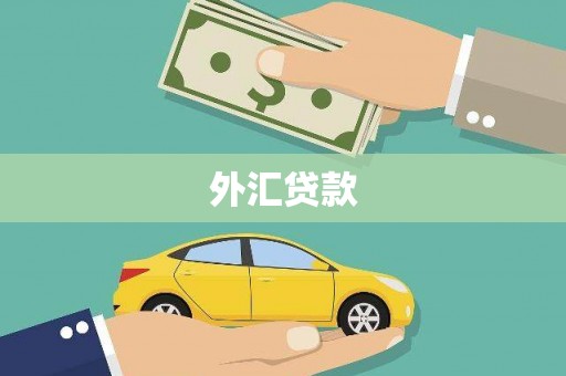 柳东外汇贷款