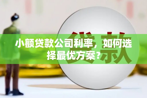 柳东小额贷款公司利率，如何选择最优方案？