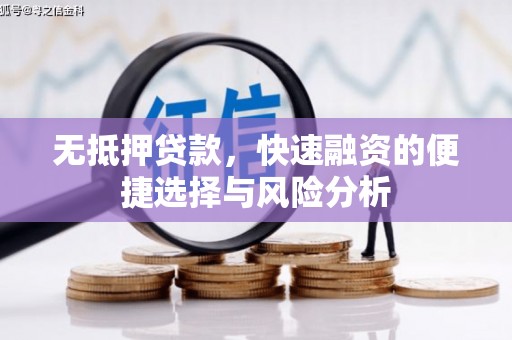柳东无抵押贷款，快速融资的便捷选择与风险分析