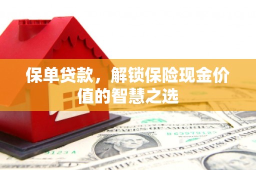 柳东保单贷款，解锁保险现金价值的智慧之选