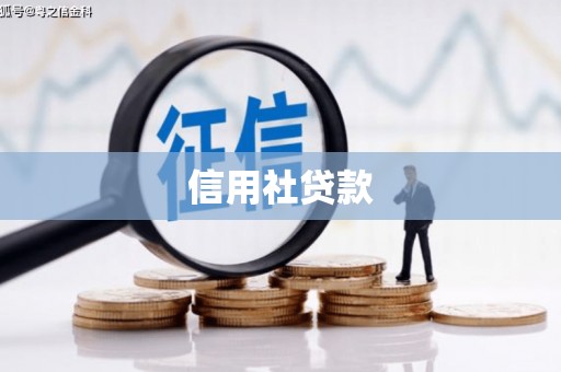 柳东信用社贷款