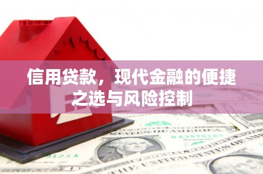柳东信用贷款，现代金融的便捷之选与风险控制