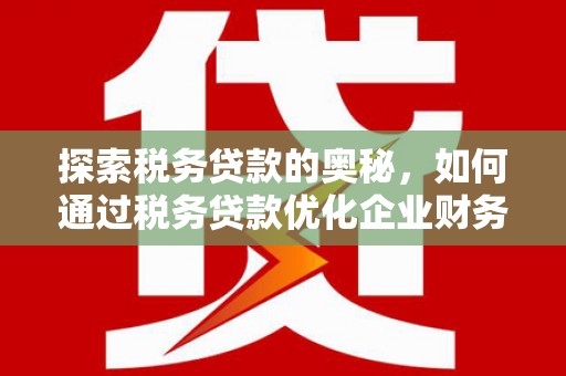 柳东探索税务贷款的奥秘，如何通过税务贷款优化企业财务