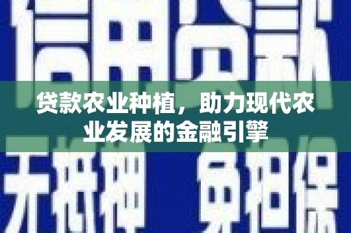 柳东贷款农业种植，助力现代农业发展的金融引擎