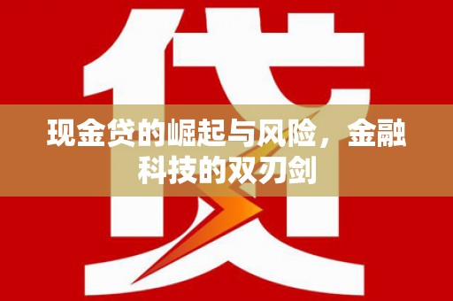 柳东现金贷的崛起与风险，金融科技的双刃剑