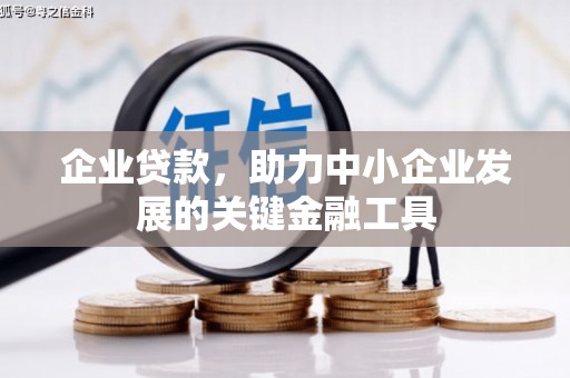 柳东企业贷款，助力中小企业发展的关键金融工具