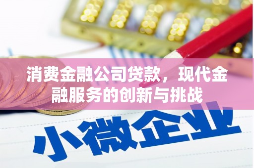 柳东消费金融公司贷款，现代金融服务的创新与挑战