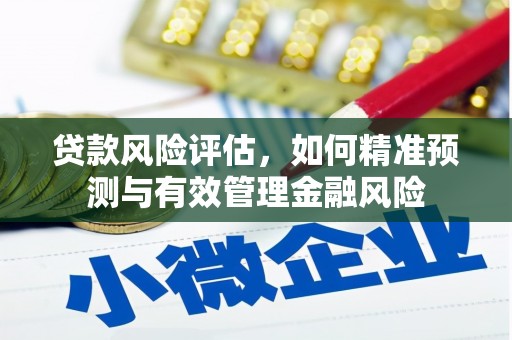 柳东贷款风险评估，如何精准预测与有效管理金融风险