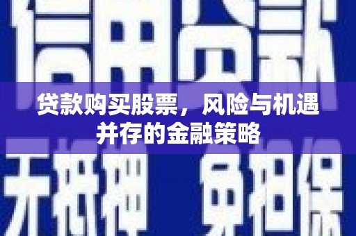 柳东贷款购买股票，风险与机遇并存的金融策略