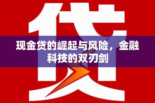 柳东现金贷的崛起与风险，金融科技的双刃剑