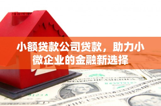 柳东小额贷款公司贷款，助力小微企业的金融新选择