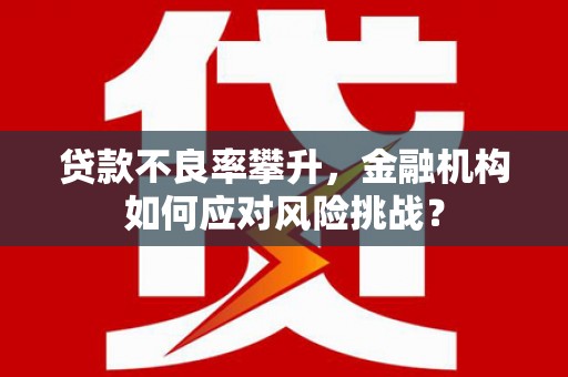 柳东贷款不良率攀升，金融机构如何应对风险挑战？