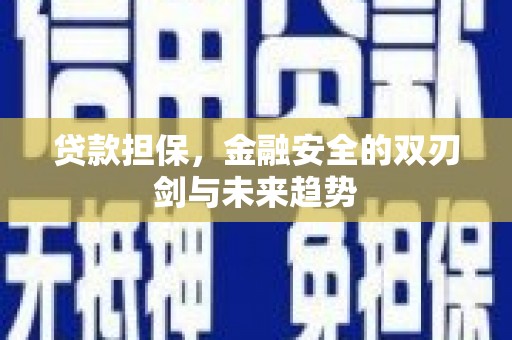 柳东贷款担保，金融安全的双刃剑与未来趋势