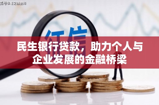 柳东民生银行贷款，助力个人与企业发展的金融桥梁