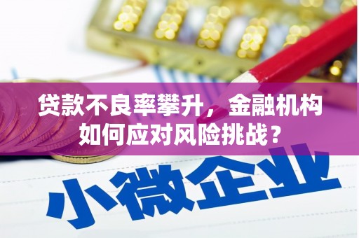 柳东贷款不良率攀升，金融机构如何应对风险挑战？