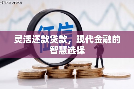 柳东灵活还款贷款，现代金融的智慧选择