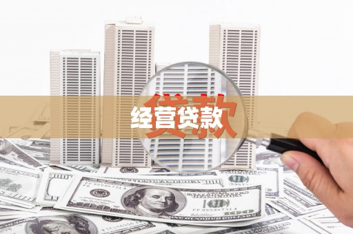 柳东经营贷款