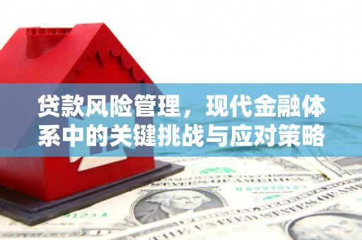 柳东贷款风险管理，现代金融体系中的关键挑战与应对策略