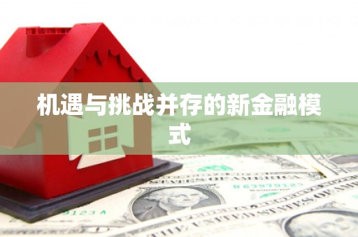 柳东机遇与挑战并存的新金融模式