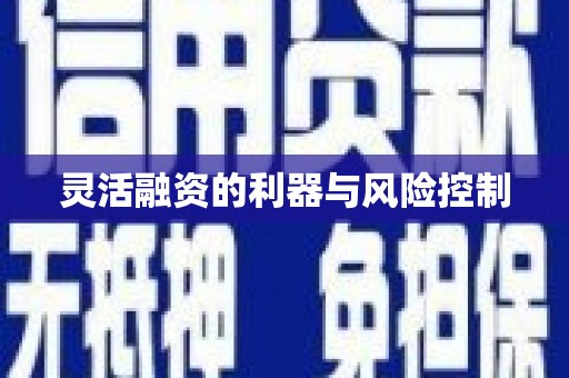 柳东灵活融资的利器与风险控制