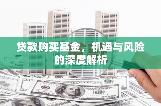 柳东贷款购买基金，机遇与风险的深度解析