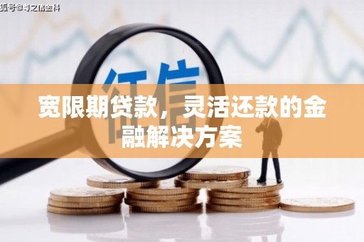 柳东宽限期贷款，灵活还款的金融解决方案