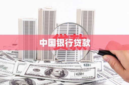 柳东中国银行贷款